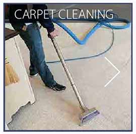 our Lynnwood carpet cleaning services