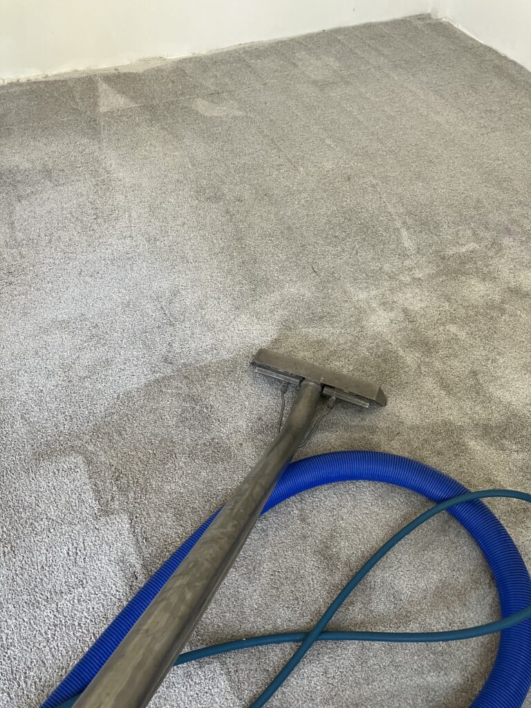 professional floor care services, smith brothers carpet cleaning
