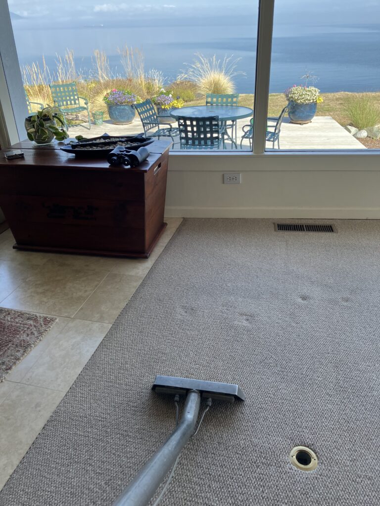 professional floor care services, smith brothers carpet cleaning