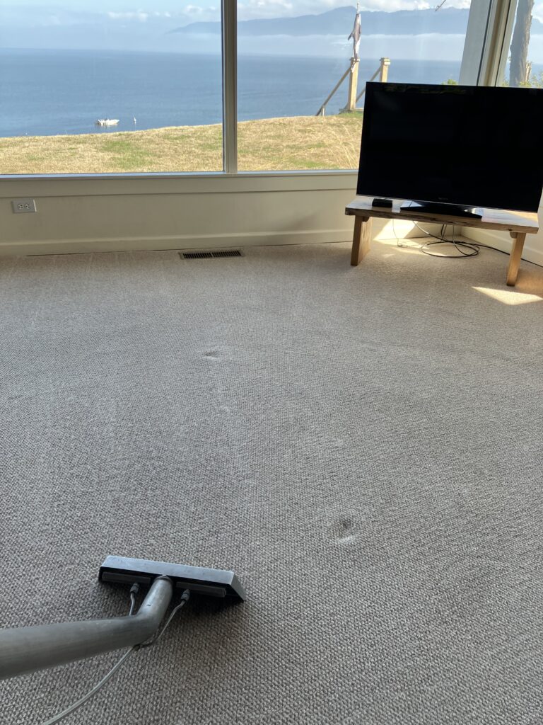 professional floor care services, smith brothers carpet cleaning