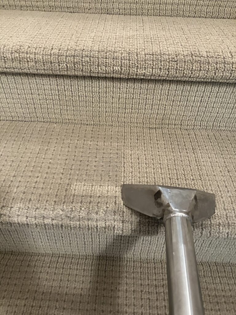 professional floor care services, smith brothers carpet cleaning