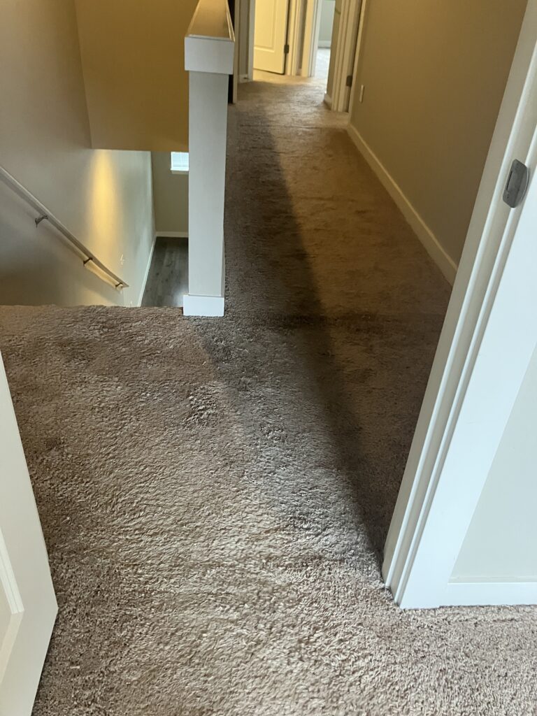 professional floor care services, smith brothers carpet cleaning