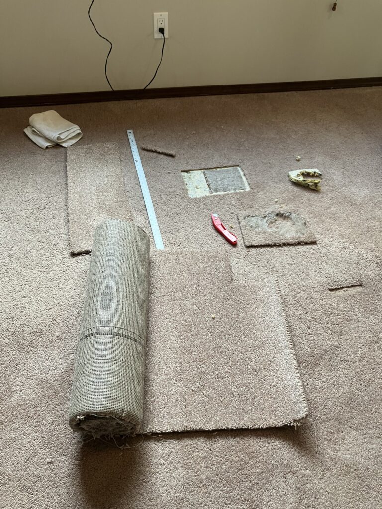 professional floor care services, smith brothers carpet cleaning