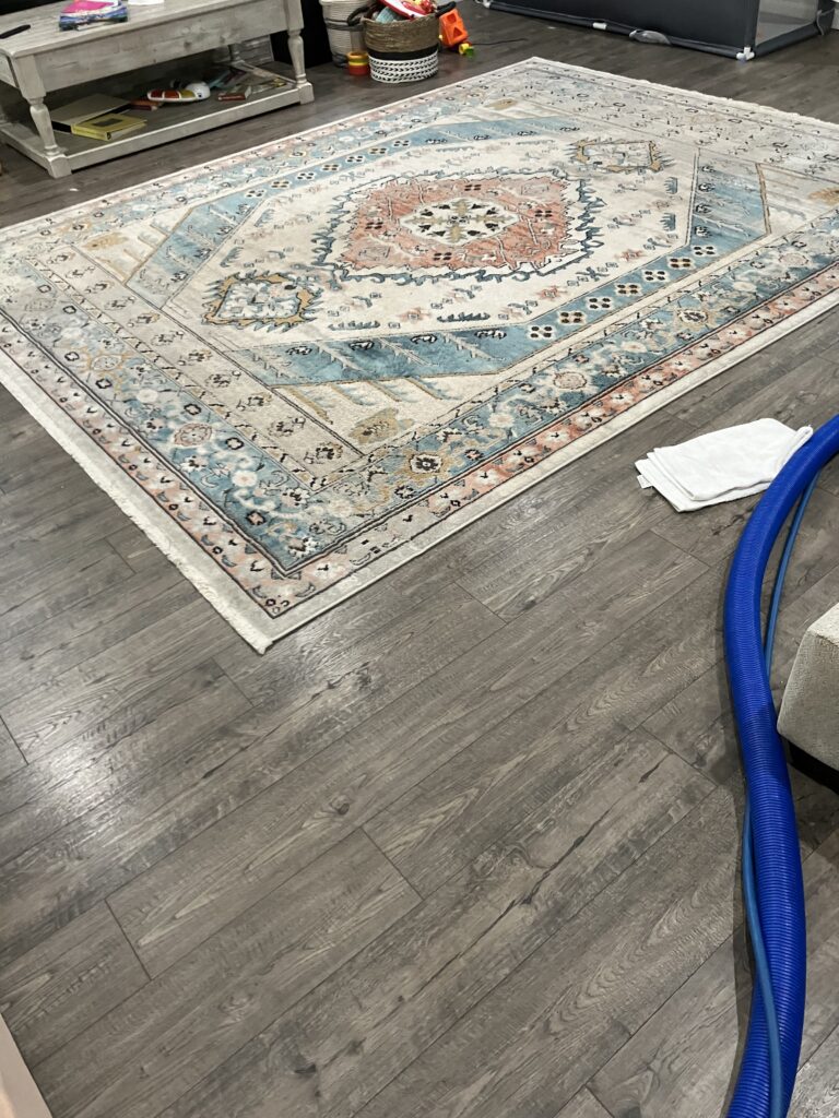professional floor care services, smith brothers carpet cleaning