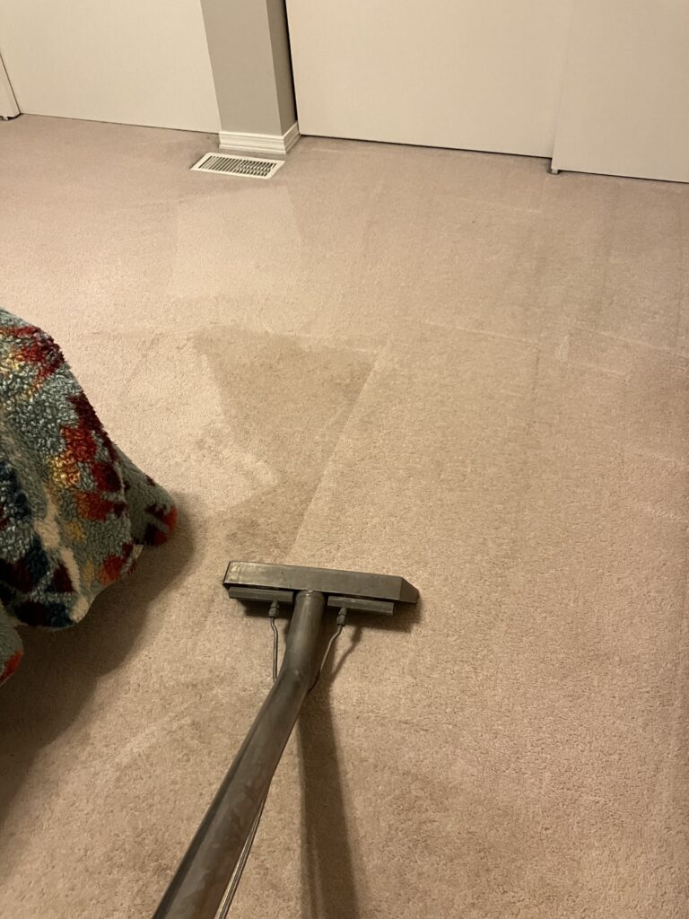 professional floor care services, smith brothers carpet cleaning