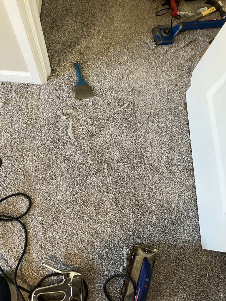 professional floor care services, smith brothers carpet cleaning