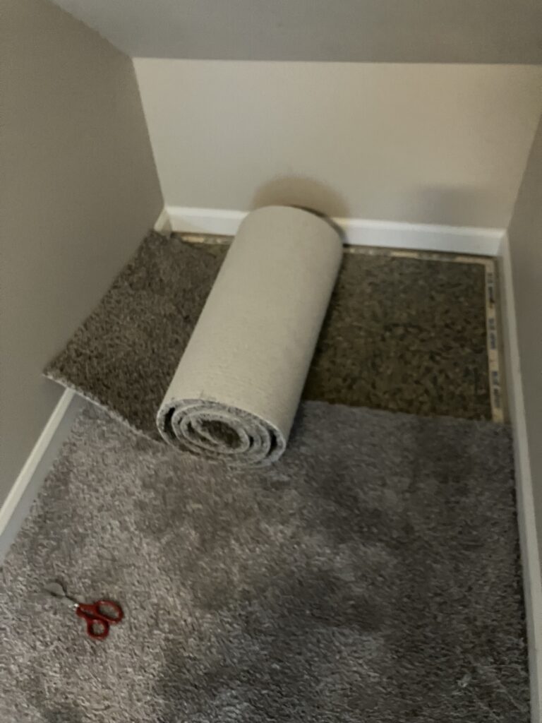 professional floor care services, smith brothers carpet cleaning