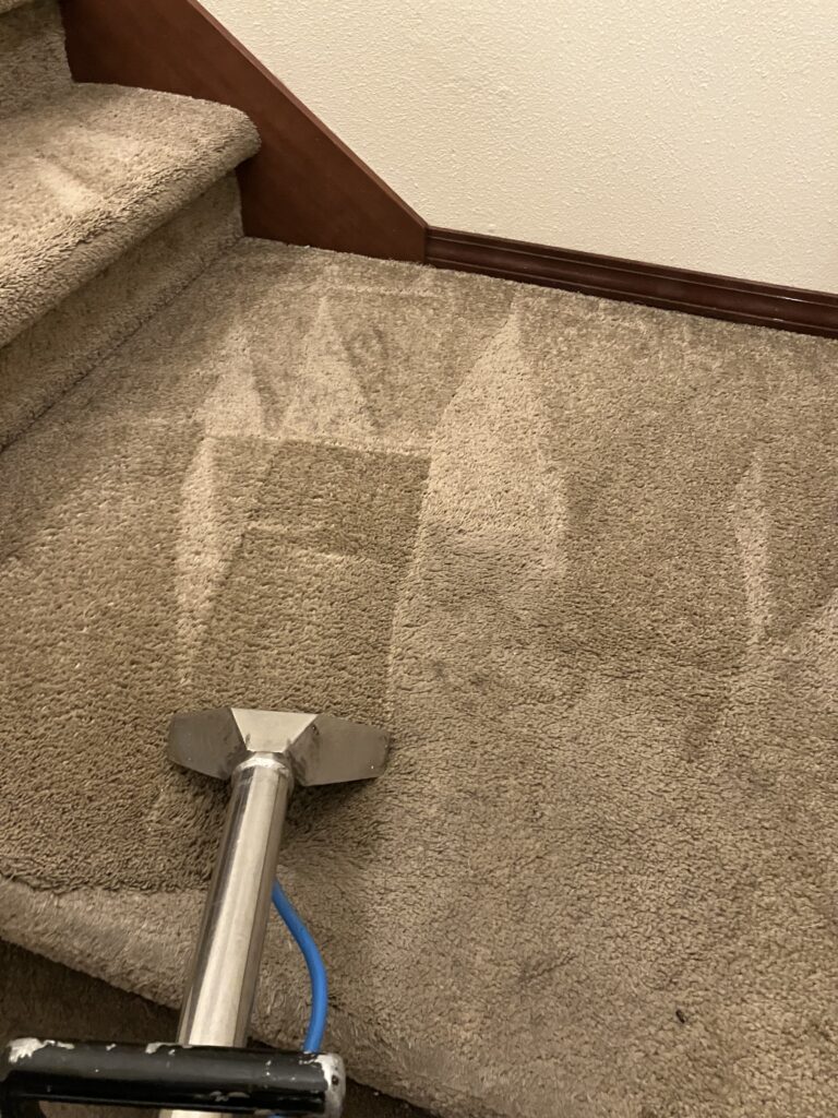 professional floor care services, smith brothers carpet cleaning