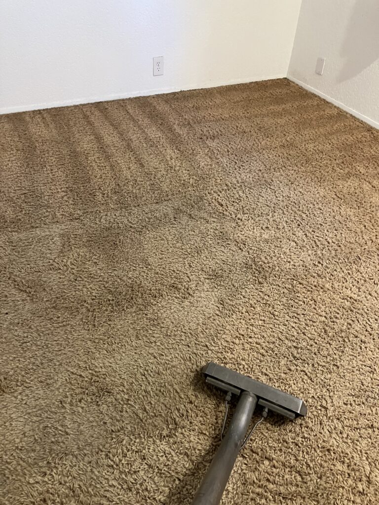 professional floor care services, smith brothers carpet cleaning