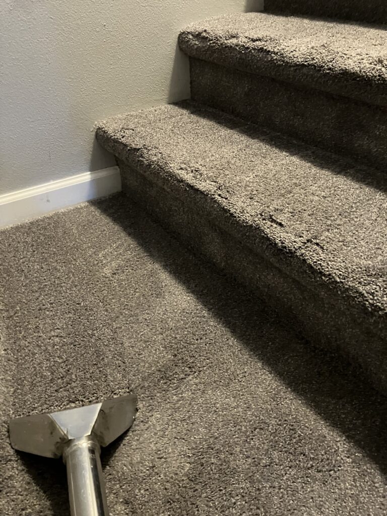 professional floor care services, smith brothers carpet cleaning