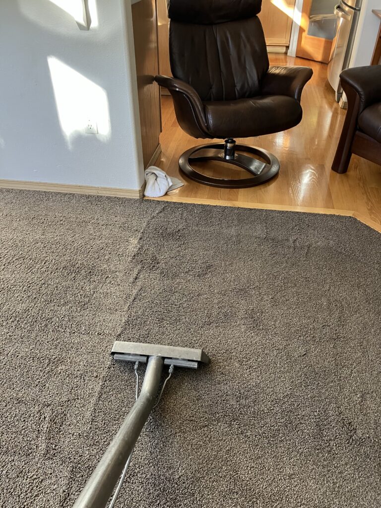 professional floor care services, smith brothers carpet cleaning