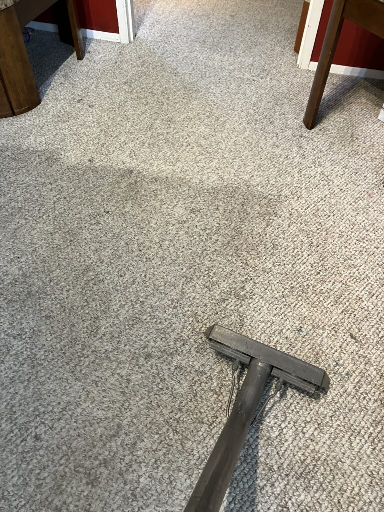 professional floor care services, smith brothers carpet cleaning