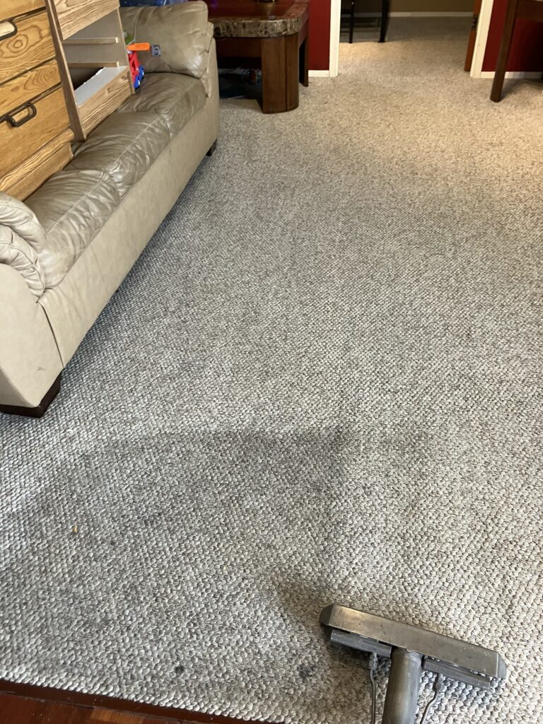 professional floor care services, smith brothers carpet cleaning
