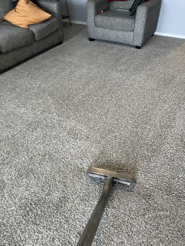 professional floor care services, smith brothers carpet cleaning