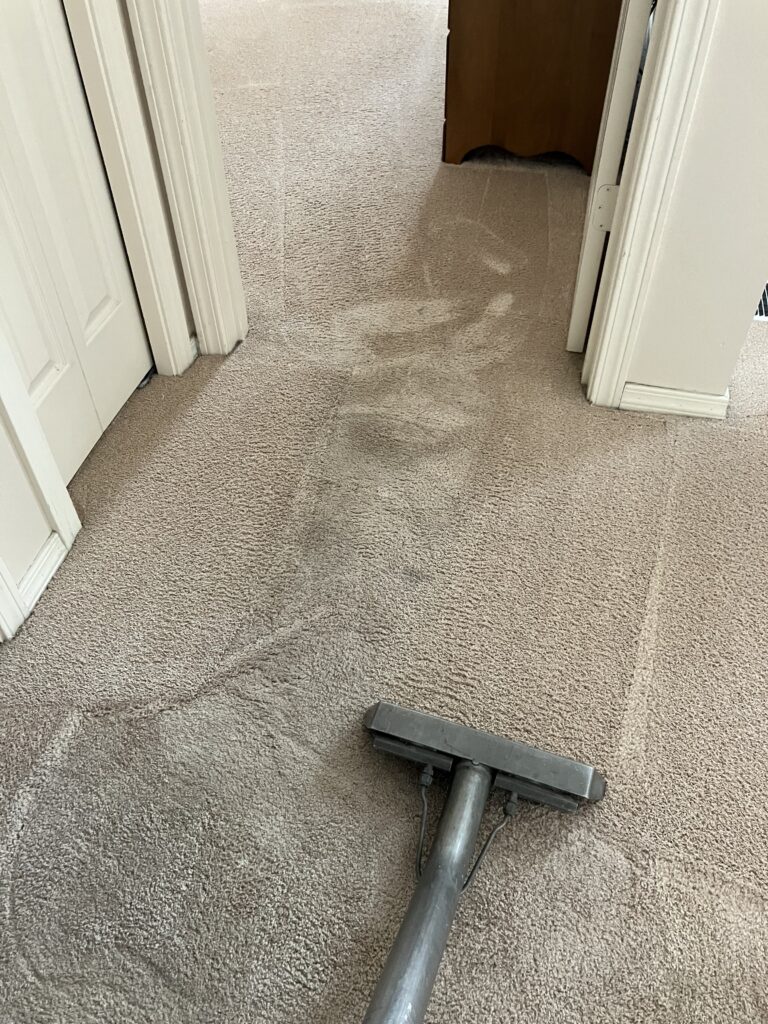 professional floor care services, smith brothers carpet cleaning