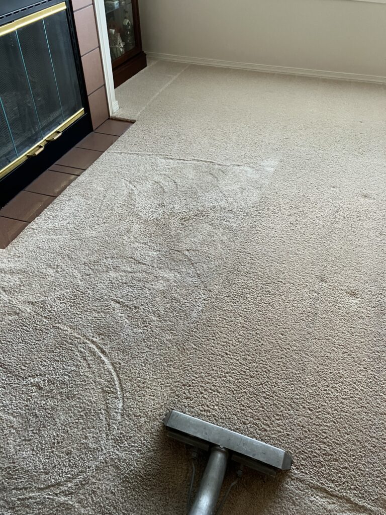 professional floor care services, smith brothers carpet cleaning