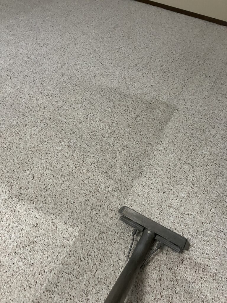 professional floor care services, smith brothers carpet cleaning