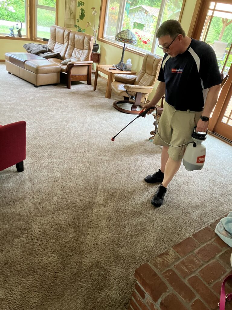 professional floor care services, smith brothers carpet cleaning