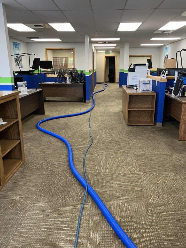 professional floor care services, smith brothers carpet cleaning