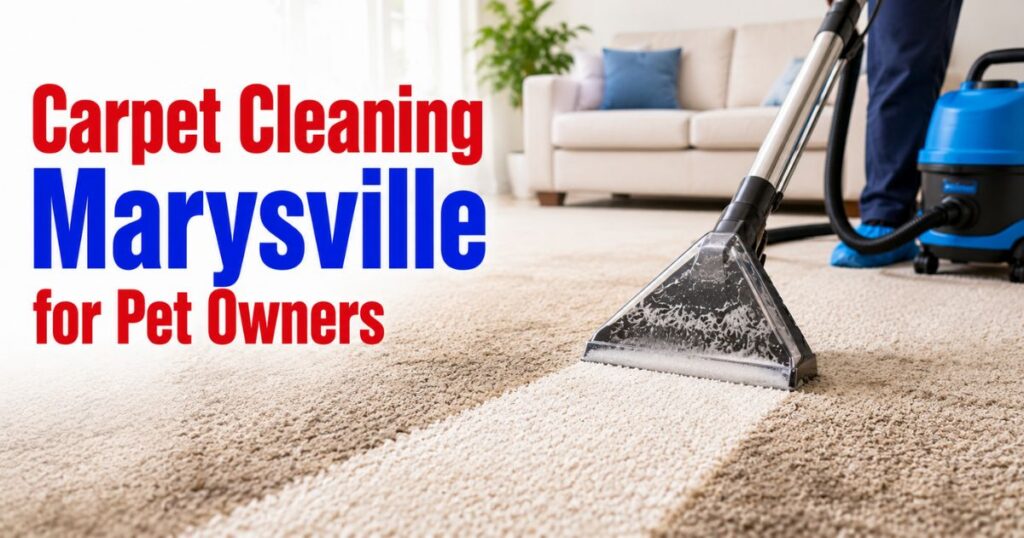 professional carpet cleaner service
